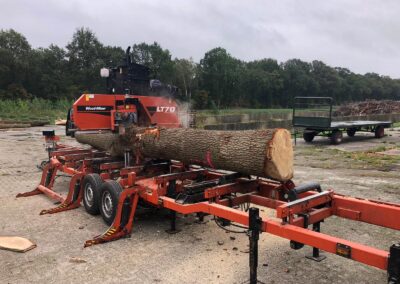 WY.architecten - lokale bomen als grondstof